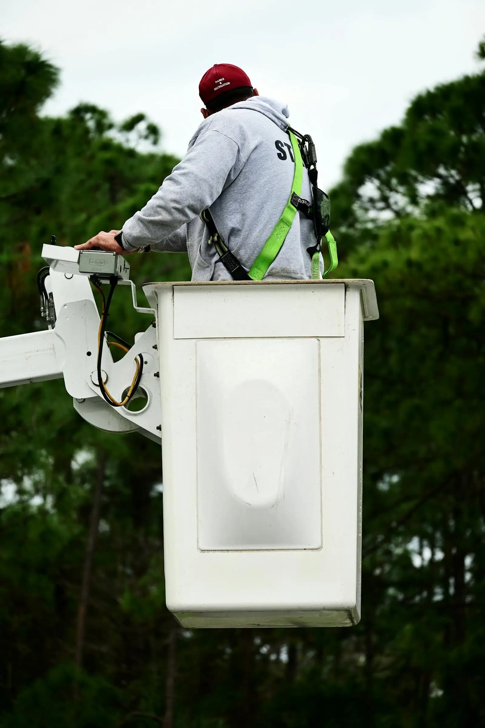 Tree service technician operating from a lift bucket while working among mature trees