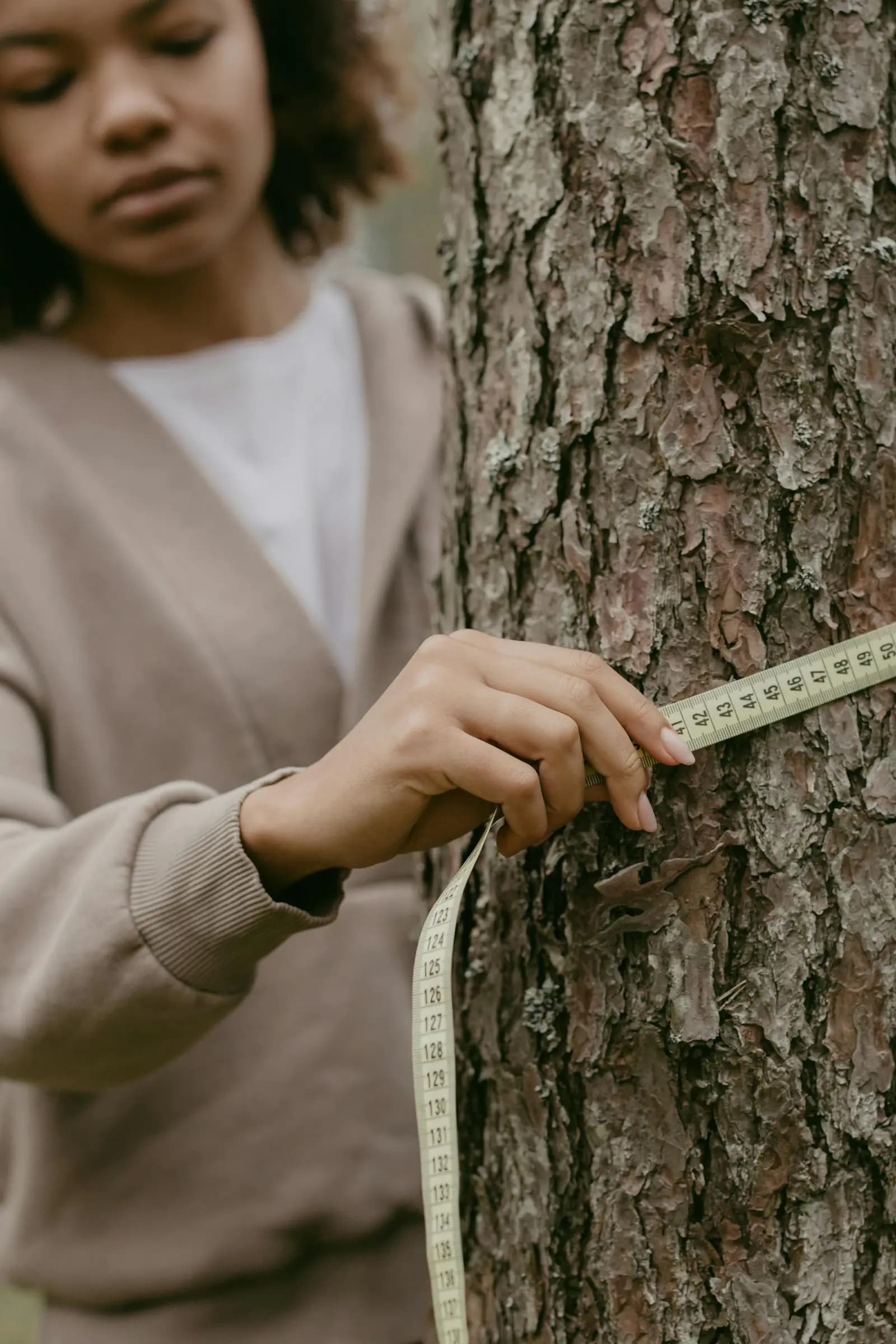 Tree care technician measuring a tree trunk during a health assessment and maintenance visit