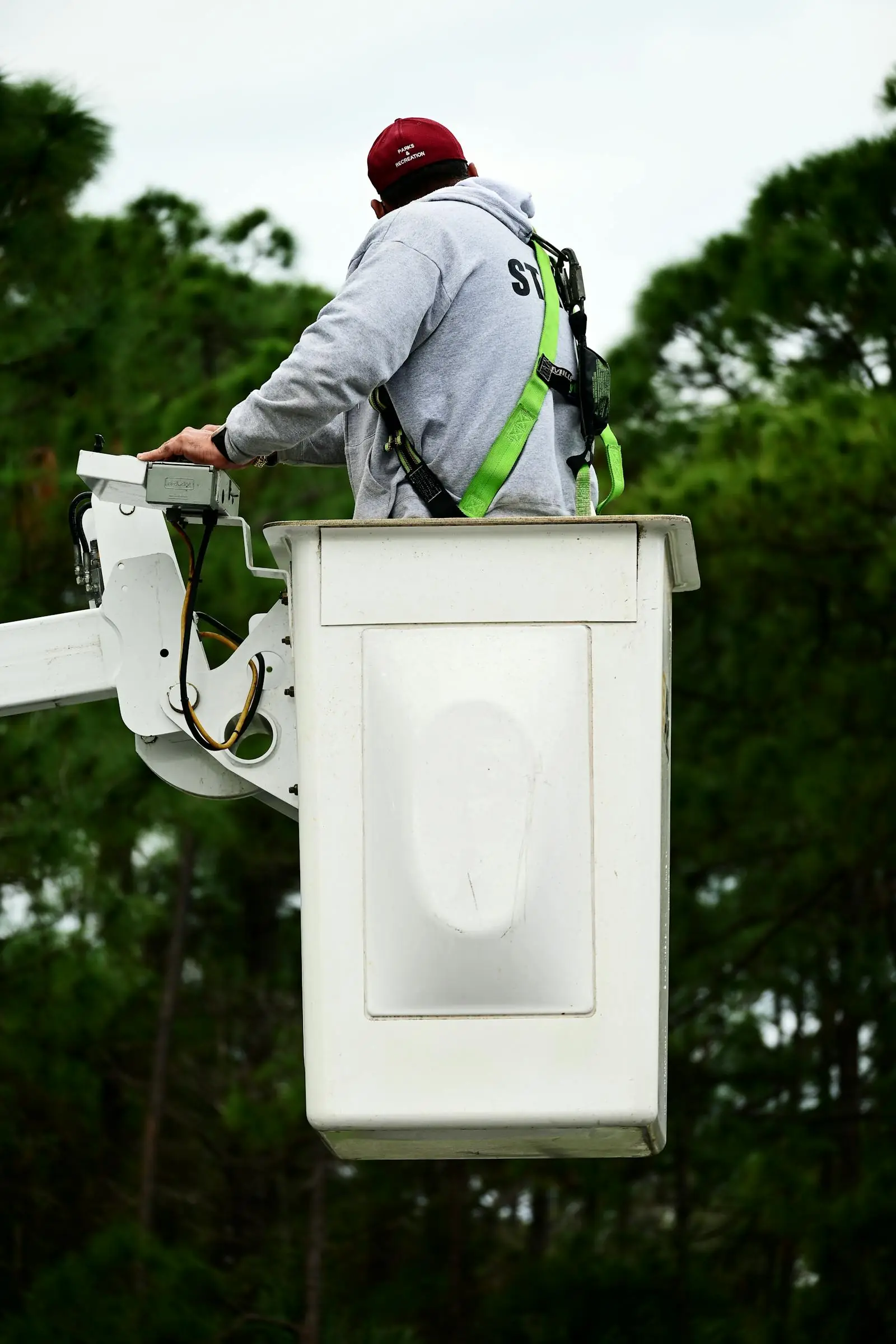 Tree service technician operating from a lift bucket while working among mature trees