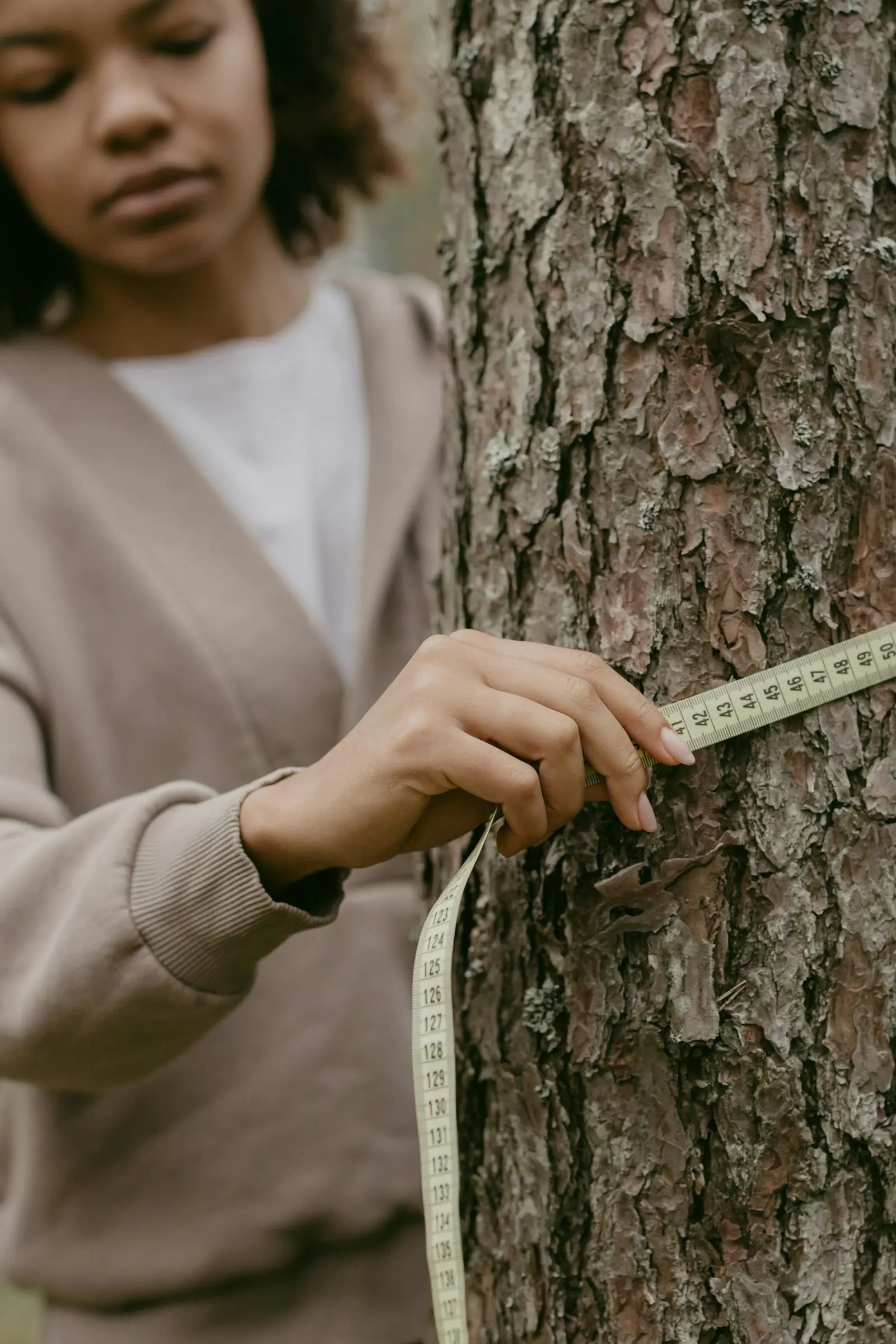 Tree care technician measuring a tree trunk during a health assessment and maintenance visit