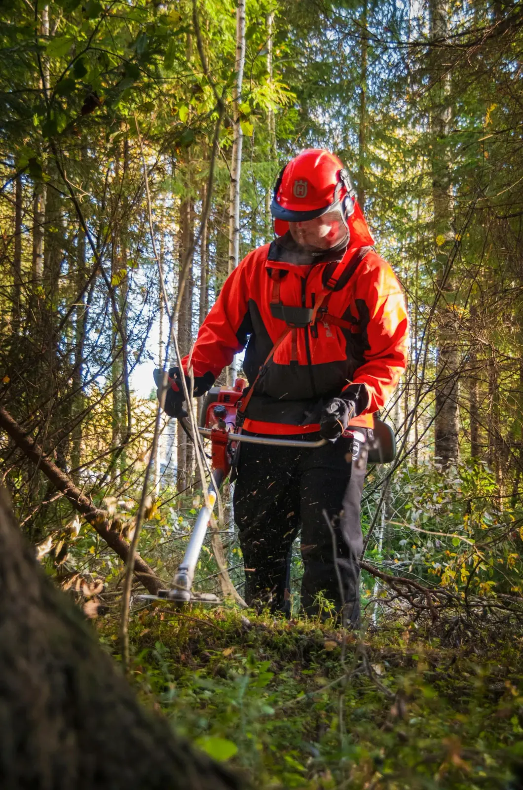 Worker using a brush cutter to clear dense undergrowth for site preparation