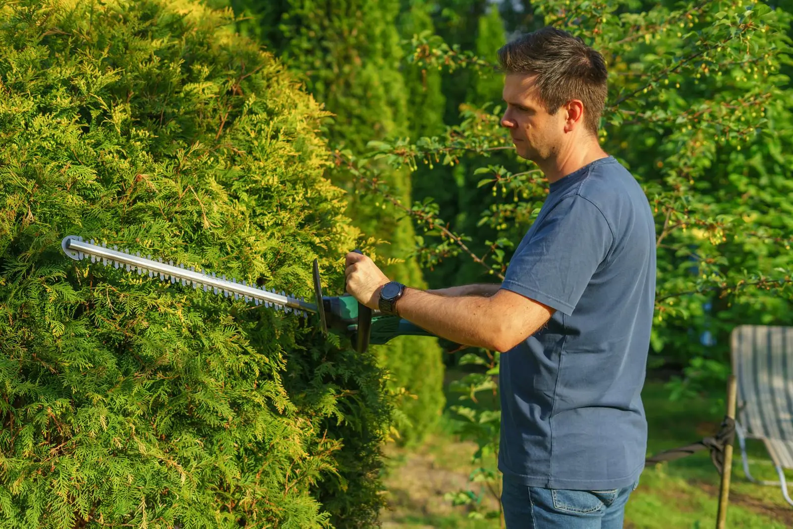 Landscaping professional trimming a dense hedge with a powered trimmer